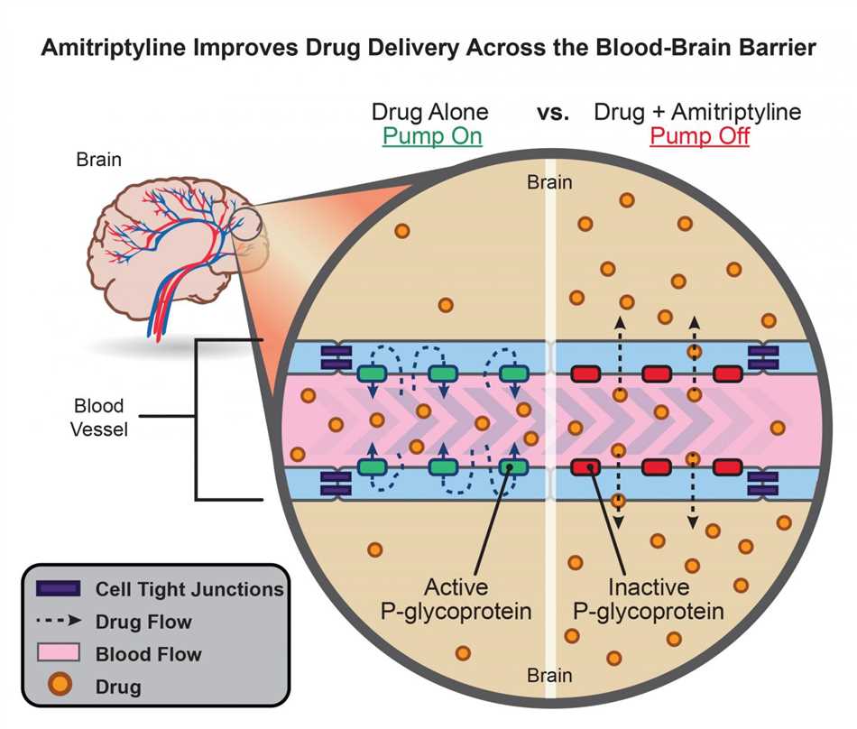 Amitriptyline and zopiclone interactions