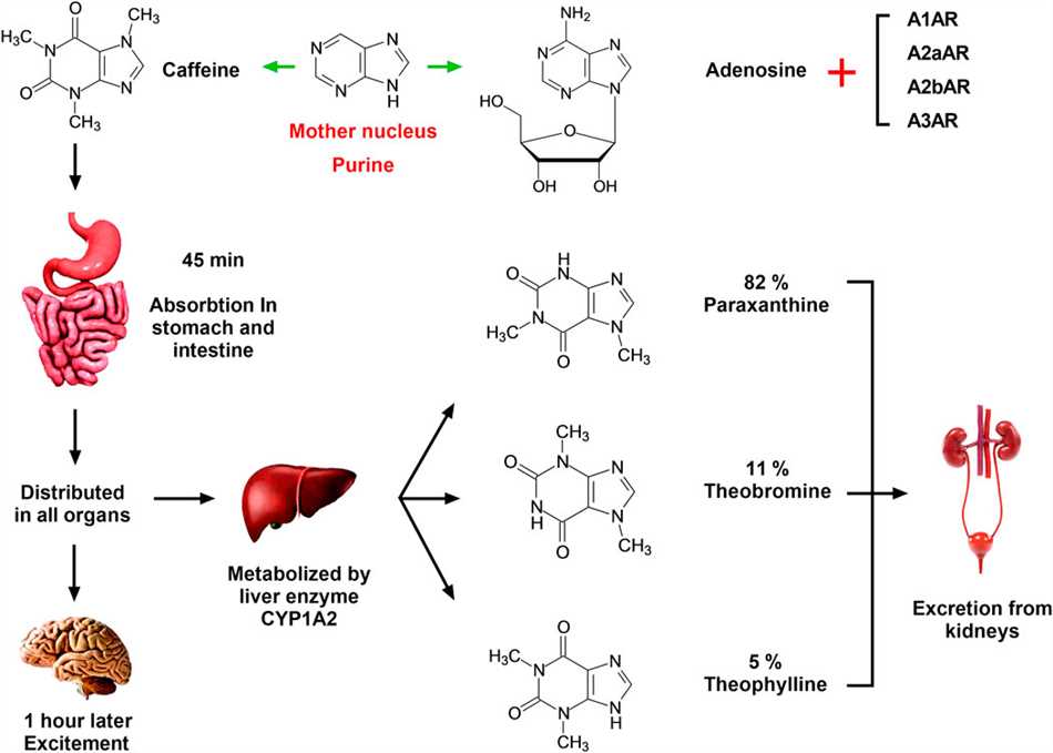 Providing resources and support
