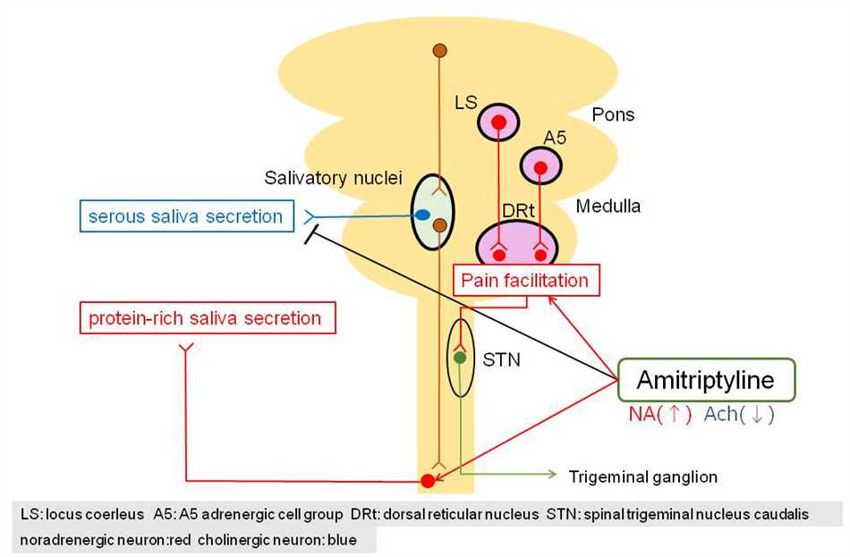 Amitriptyline under tongue
