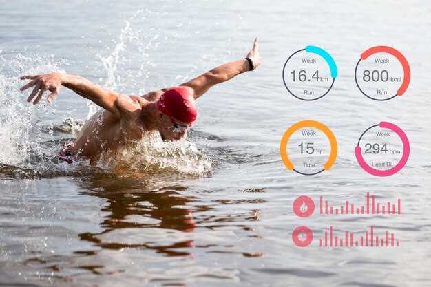 Safety and Precautions