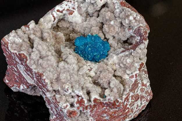 Azithromycin argentina