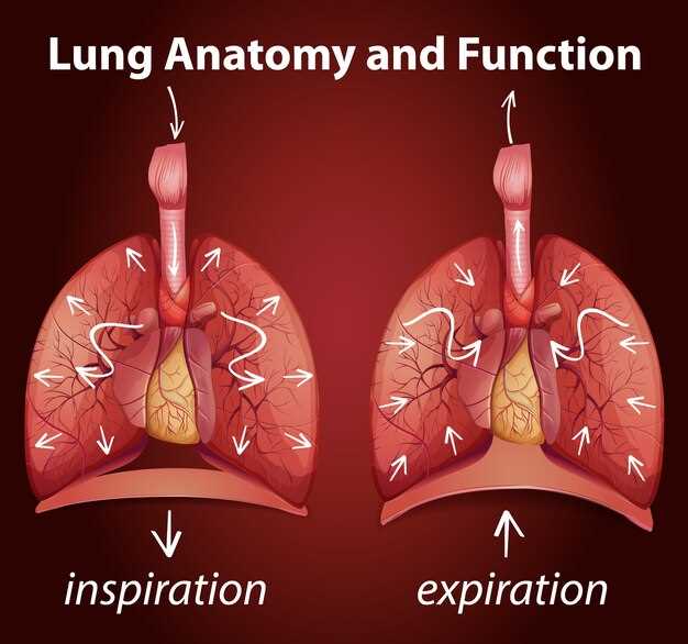 Azithromycin prophylaxis lung transplant