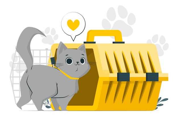 2. Use a Pill Pocket: