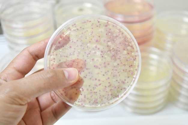 Wide Range of Applications