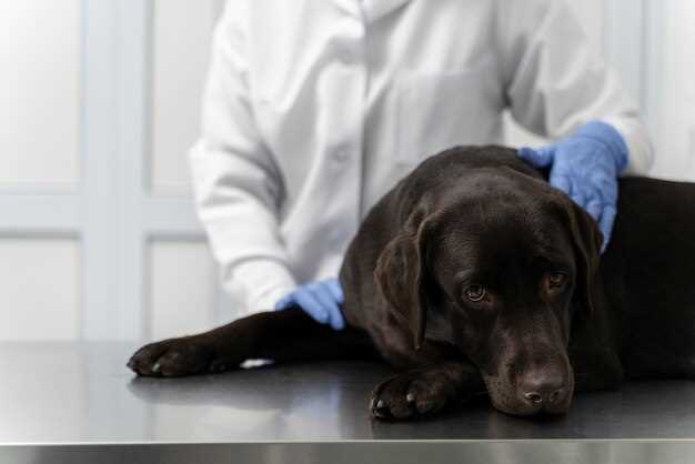 Clonidine side effects in dogs