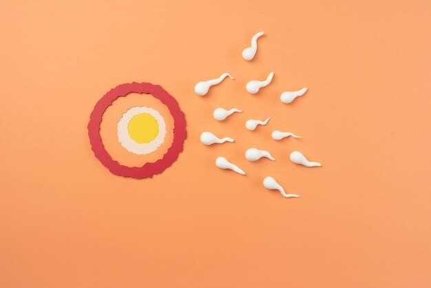 Alternatives to Doxycycline for Fertility