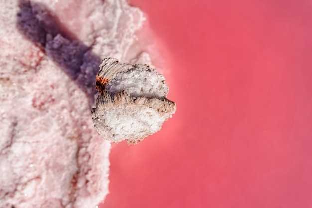 Doxycycline antibiotic malaria