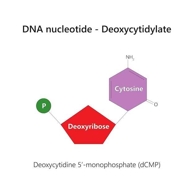 Doxycycline flagyl together
