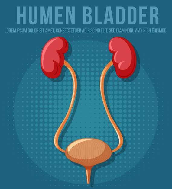 Doxycycline for bladder infections