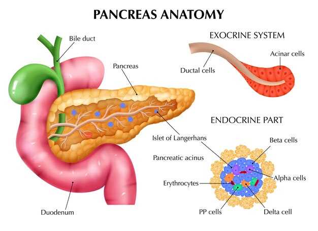 Doxycycline induced-acute pancreatitis