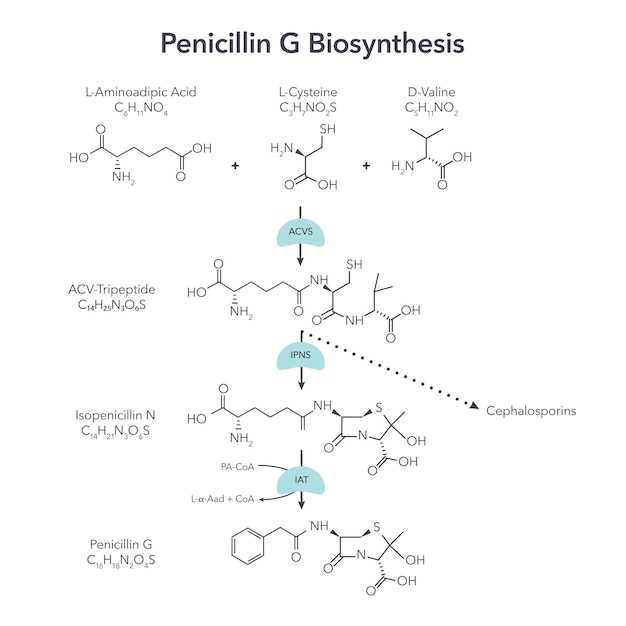 Importance of Healthcare Provider Consultation