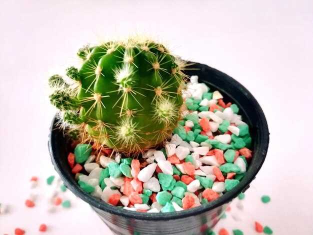 2. Consult with a healthcare provider