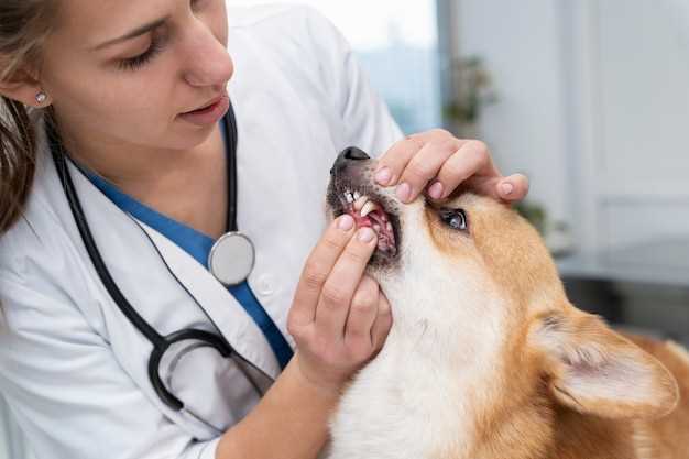 Doxycycline side effects for dogs