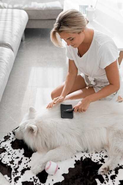 How to give doxycycline to a dog