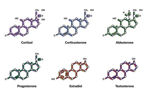 Mechanism of action